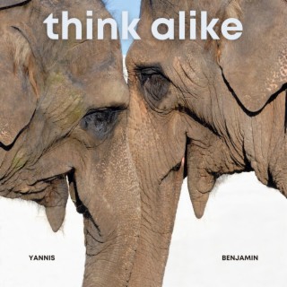 Think Alike