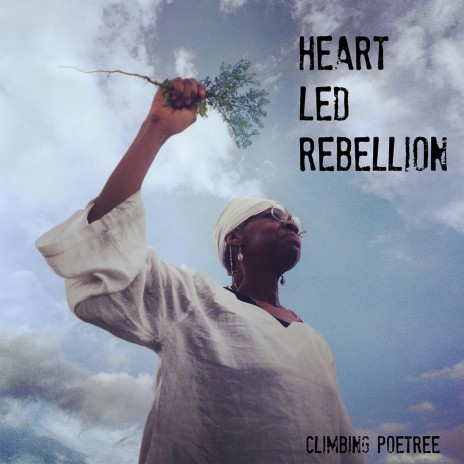 Heart Led Rebellion | Boomplay Music