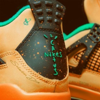 Cactus Nikes