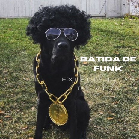 Batida de Funk Experiências de Vida | Boomplay Music