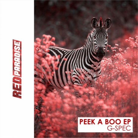 Peek A Boo (Original Mix)