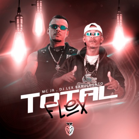 Total Flex ft. DJ LEX BARULHENTO | Boomplay Music