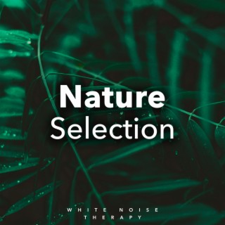 Nature Selection