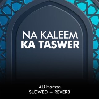 Na Kaleem Ka Taswer Lofi