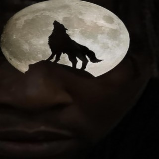 Howling at the Moon