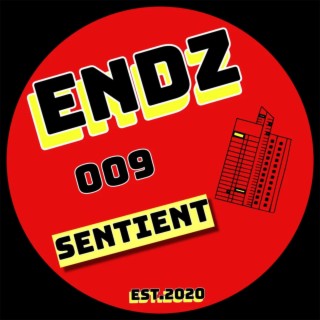 Linear / Formless One (ENDZ009)