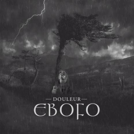 Ebofo | Boomplay Music