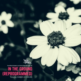 In The Ground (Reprogrammed)