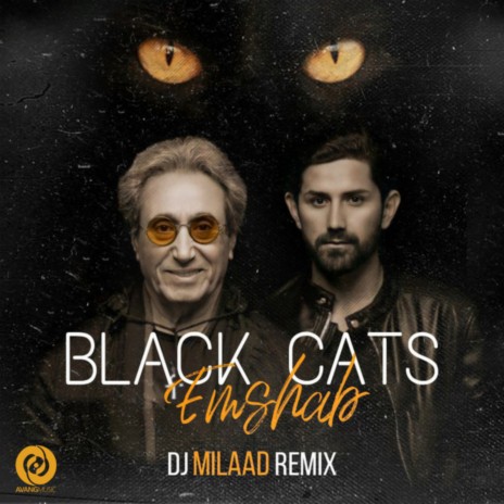 Emshab (Remix) ft. Dj Milaad | Boomplay Music