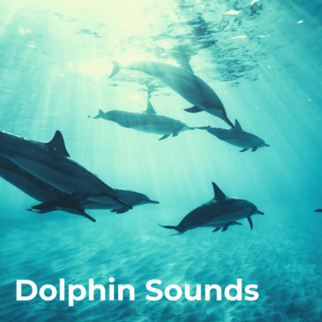 Whale Songs in the Depths ft. Nature Sounds Natural Music, Whales Sample, Streaming Waves, Shoreline Sounds & Sounds of Ice | Boomplay Music