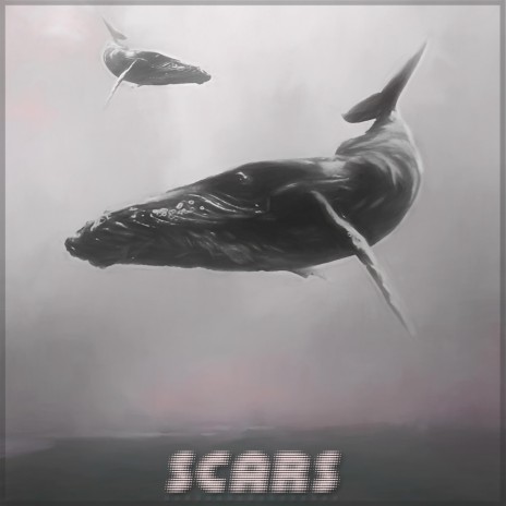 Scars | Boomplay Music