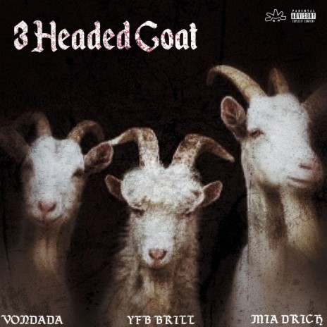 3 Headed Goat ft. VonDada & YFB.Brill