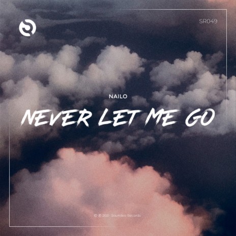 Never Let Me Go (Original Mix) | Boomplay Music