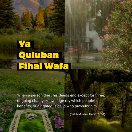 Ya Quluban Fihal Wafa | Boomplay Music