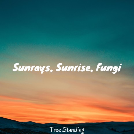 Sunrays, Sunrise, Fungi