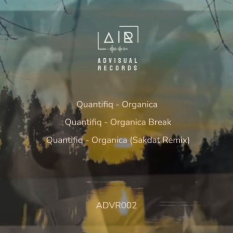 Organica (Sakdat Remix) | Boomplay Music