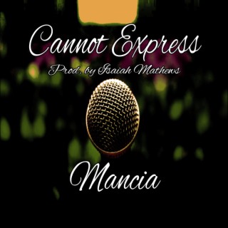 Cannot Express lyrics | Boomplay Music