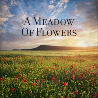 A Meadow Of Flowers