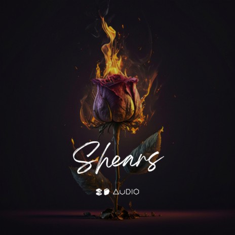 Shears ft. 8D Tunes | Boomplay Music