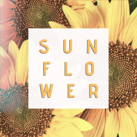 Sunflower | Boomplay Music