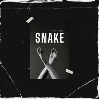 Snake (Drill Remix) (feat. MC STAN) - song and lyrics by Stem The