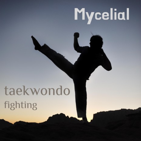 Taekwondo Fighting