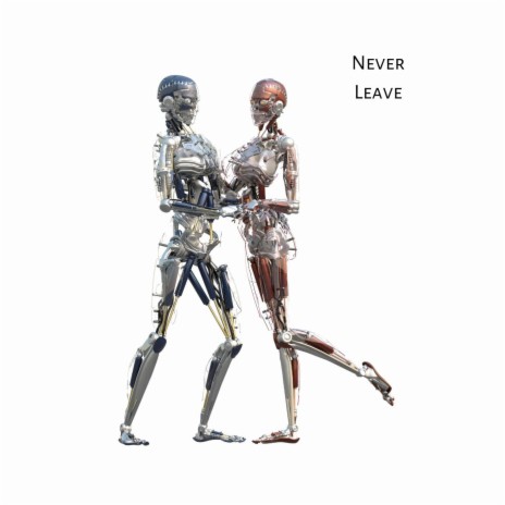 Never Leave | Boomplay Music
