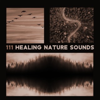 111 Healing Nature Sounds (Sea Music, Power of Aqua, Rumble Rain and Thunderstorm, Calming Flow River, Gentle Waterfall & Underwater Ambiance, Birds, Crickets, Forest)
