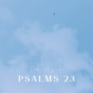 PSALMS 23 lyrics | Boomplay Music