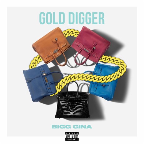 BIGG Gina Gold Digger Lyrics