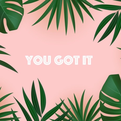 You Got It | Boomplay Music