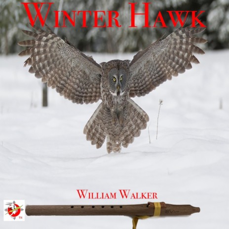 Winter Hawk | Boomplay Music