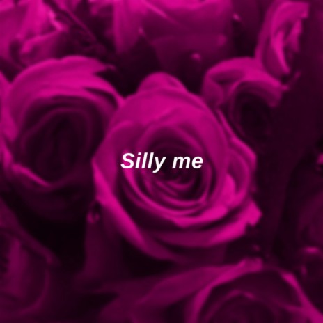 Silly me | Boomplay Music