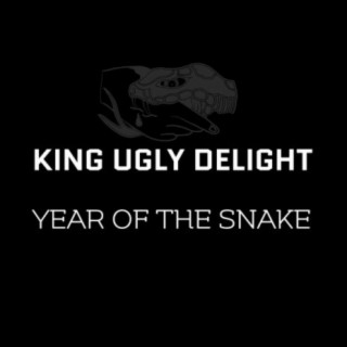 Year Of The Snake