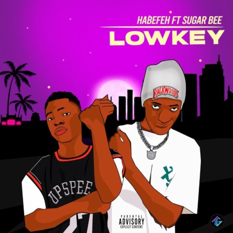 Lowkey ft. Sugar Bee | Boomplay Music