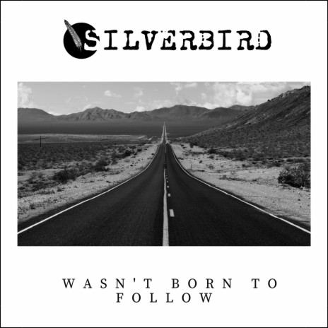 Wasn't Born To Follow | Boomplay Music