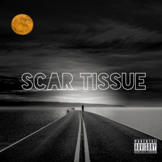 Scar Tissue lyrics | Boomplay Music