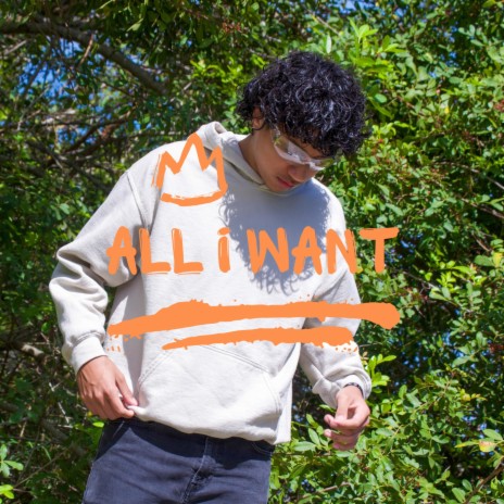 ALL i WANT | Boomplay Music