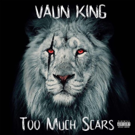 Too Much Scars (feat. DJ Gig) | Boomplay Music