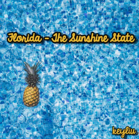 Florida - The Sunshine State | Boomplay Music