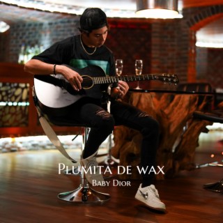 Plumita De Wax