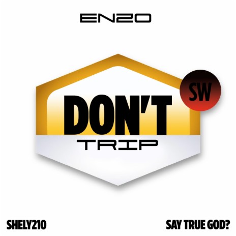 Don't Trip ft. Say True God? & Shely210