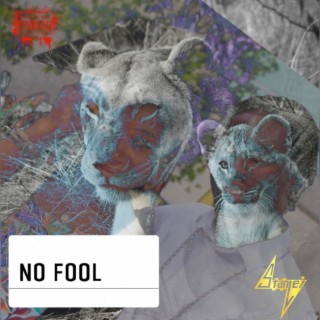 No Fool