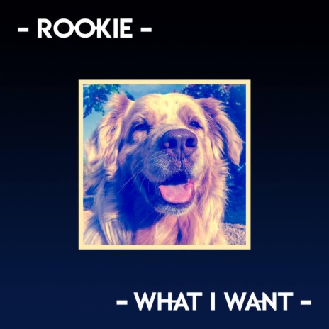 What I Want | Boomplay Music