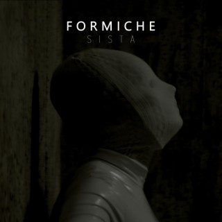 FORMICHE