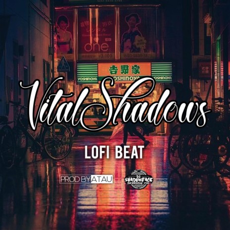 LOFI BEAT ft. VITALSHADOWSBEATS & DJ SHADOWFACE | Boomplay Music