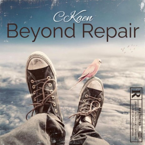 Beyond Repair | Boomplay Music