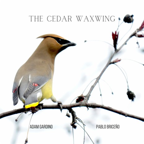 The Cedar Waxwing ft. Adam Gardino | Boomplay Music