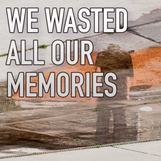 We Wasted All Our Memories