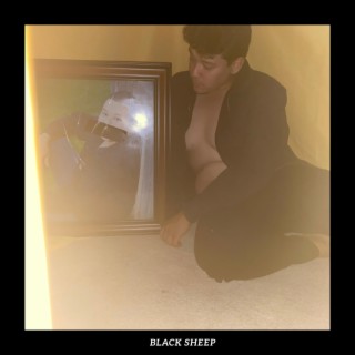 Black Sheep lyrics | Boomplay Music